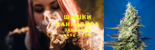 дмт Белокуриха