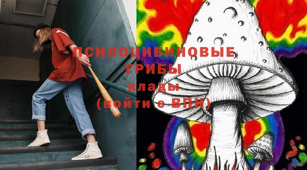 сатива Анива