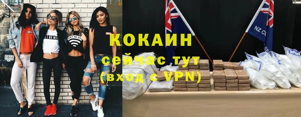 дмт Белокуриха
